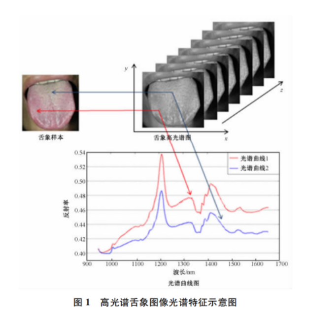 1693983982825300.png image.png