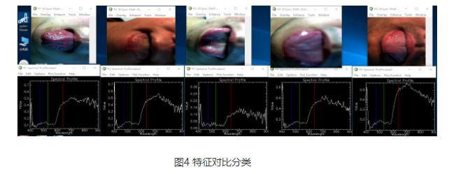 1693984092425294.png image.png