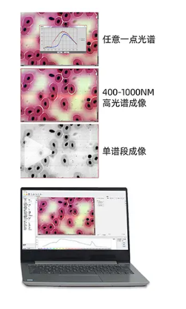 1697593145317972.png image.png