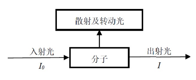 01.jpg