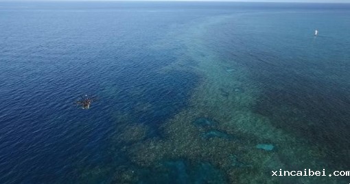 AI和无人机高光谱相机拯救面临解体危机的大堡礁