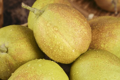 可见/近红外高光谱相机有效的区分不同存放时间的香梨