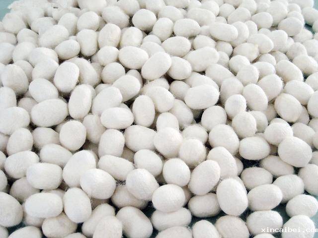 可见近红外光谱相机对毛脚茧的鉴别检测