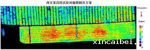 高光谱成像在植物表型和有效农业领域应用