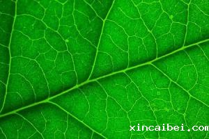 利用高光谱相机植被指数评价植被叶绿素含量