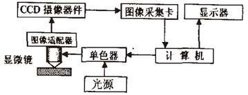 1630286217486763.png image.png