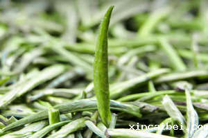 高光谱相机在茶叶品质无损鉴别中的应用研究