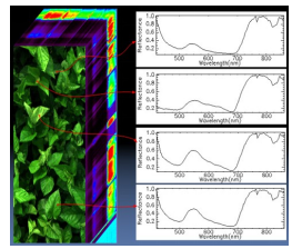 1691659931475502.png image.png