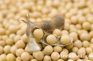 大豆食心虫虫害高光谱相机检测方法介绍