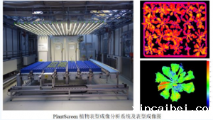 在植物表型组学应用中使用近红外光谱学的优势和限制