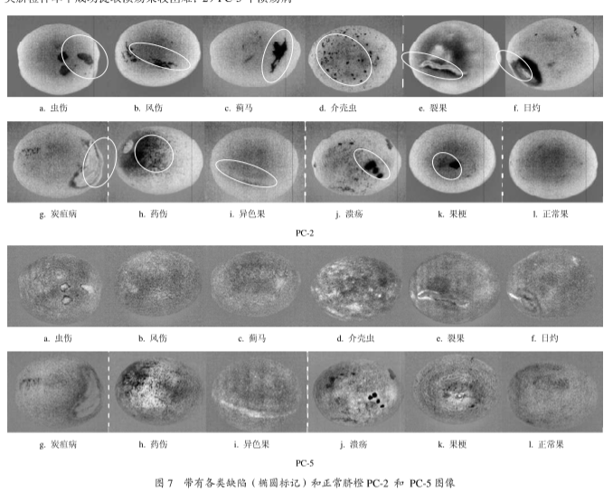 1667961942791615.png 图片8.png