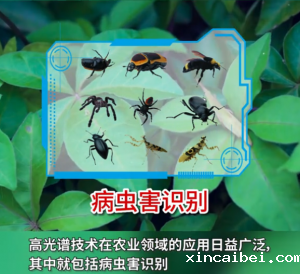 农业中的科技运用:高光谱相机识别病虫害