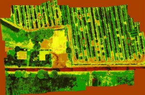 高光谱与多光谱成像