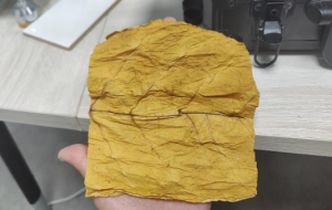 高光谱相机在烟叶霉变检测中的应用