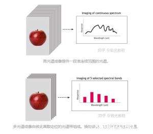 多光谱相机成像与高光谱相机的区别