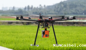 高光谱成像仪SC230检测植物表型