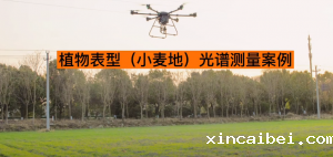 无人机高光谱测量系统测试小麦地氮素